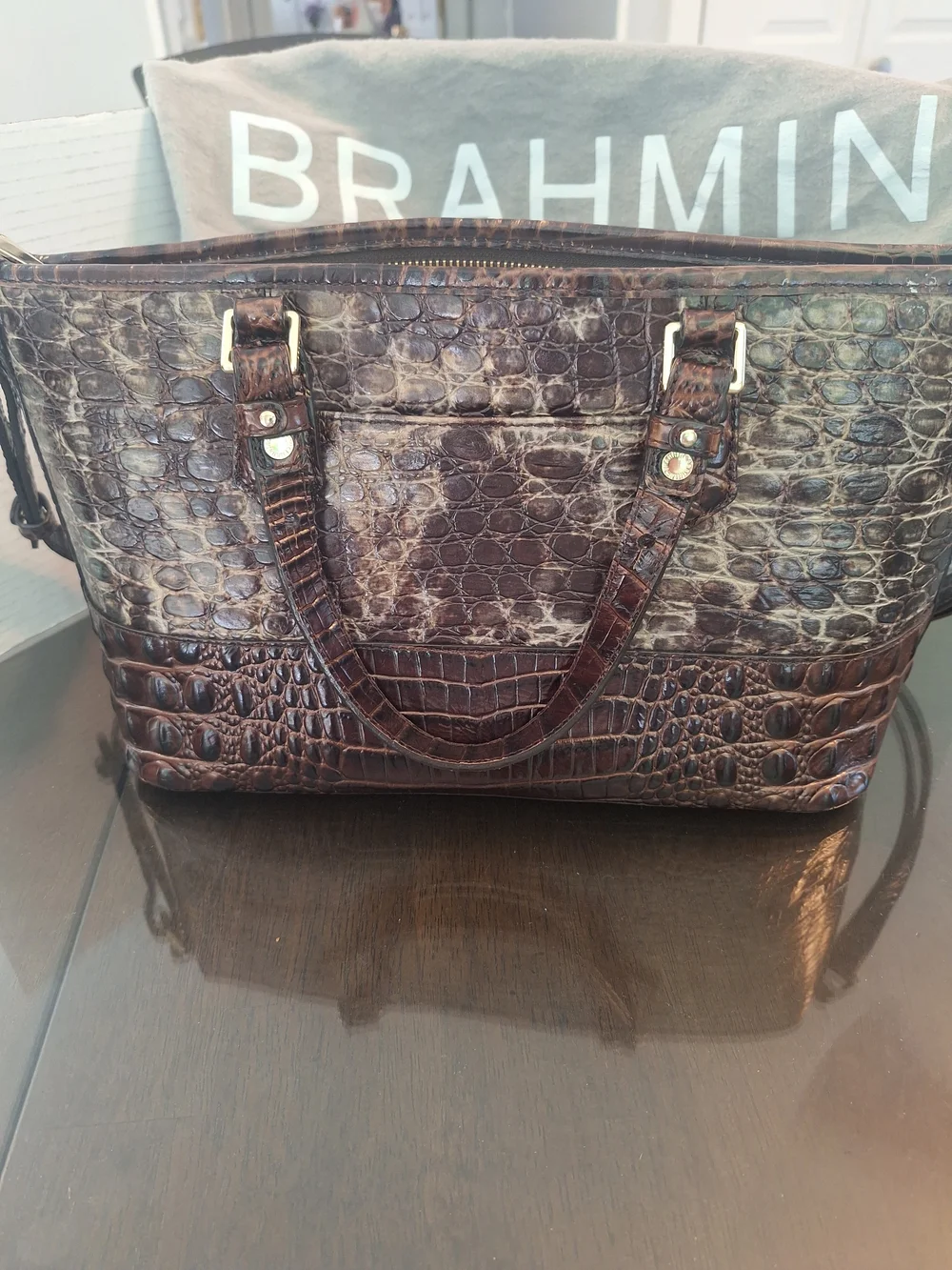 BRAHMIN MINI ASHER SATCHEL